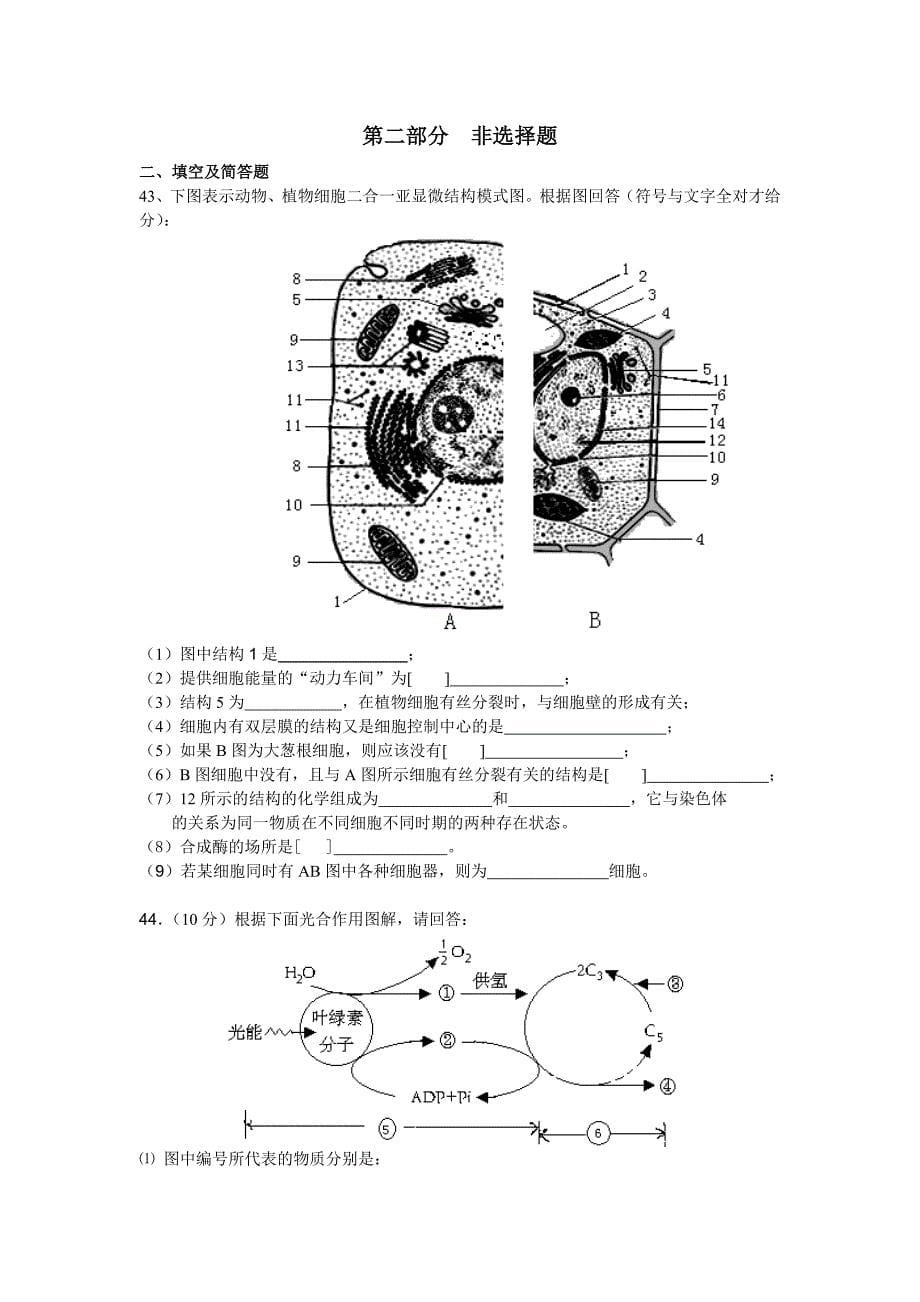 必修一《分子与细胞》综合测试题_第5页