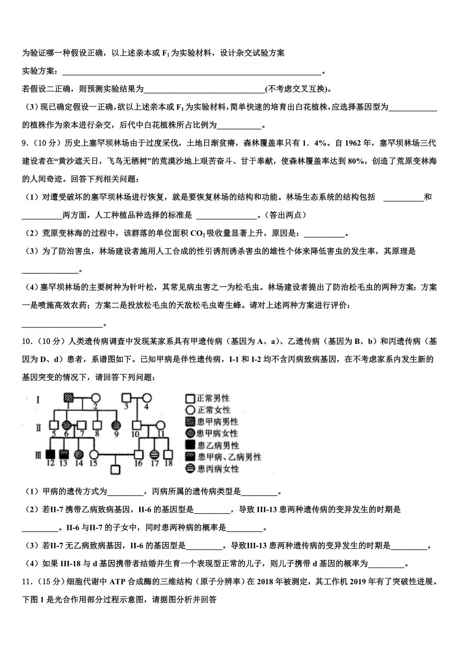 2025学年山东省潍坊市示范中学高三下学期第七次模拟考试生物试题含解析_第4页