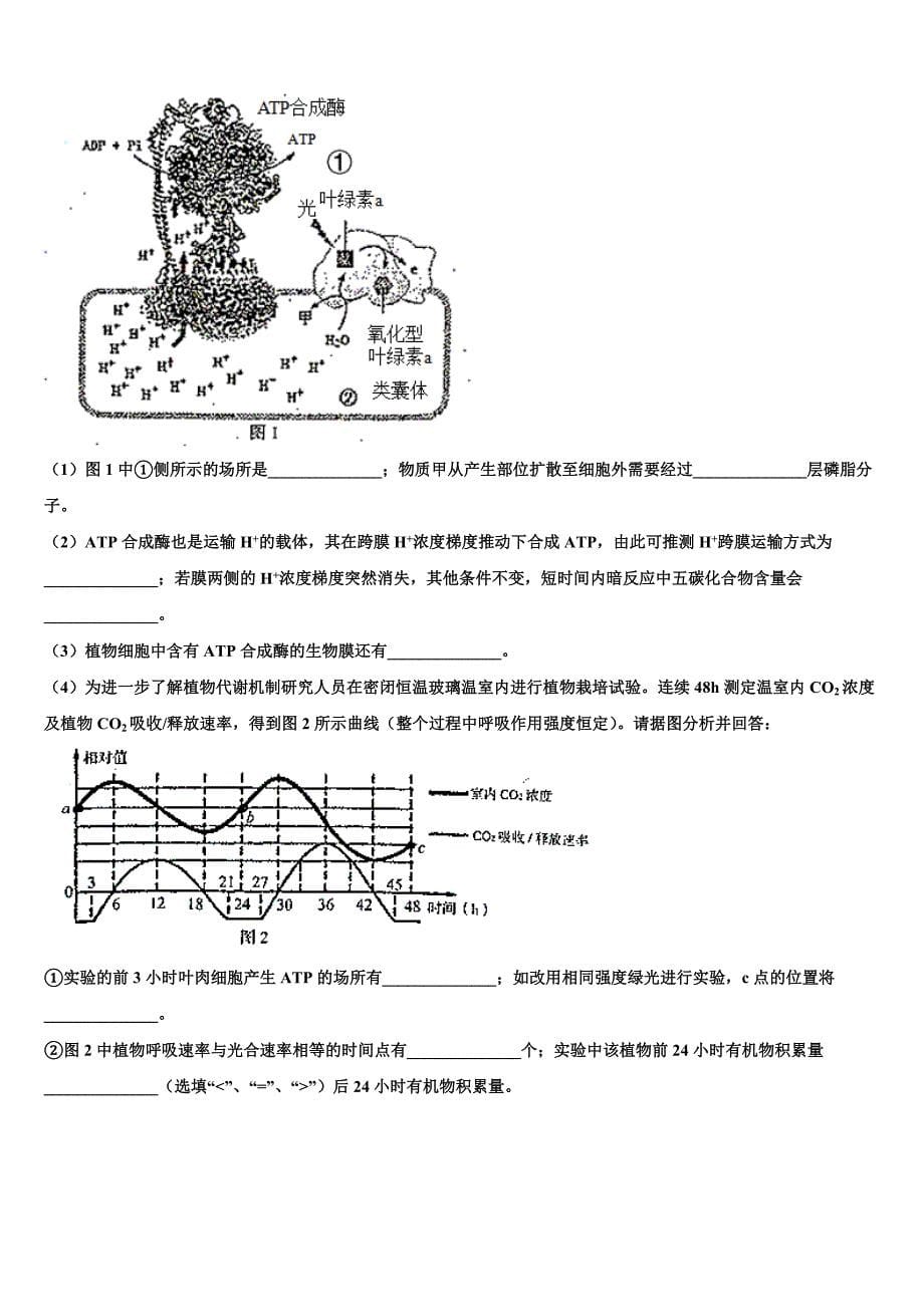 2025学年山东省潍坊市示范中学高三下学期第七次模拟考试生物试题含解析_第5页