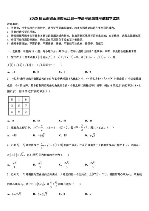 2025届云南省玉溪市元江县一中高考适应性考试数学试题