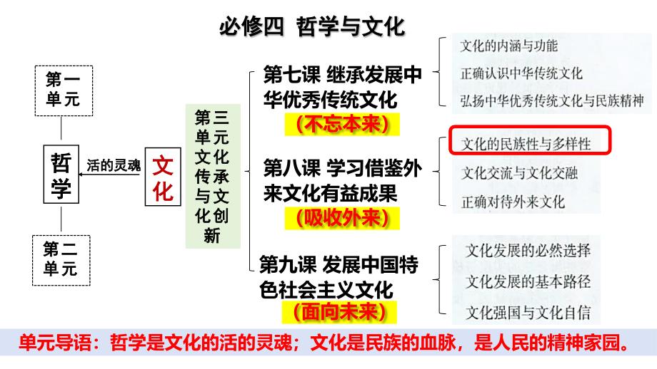 8.1 文化的民族性与多样性 课件高中政治统编版必修四哲学与文化(1)_第1页