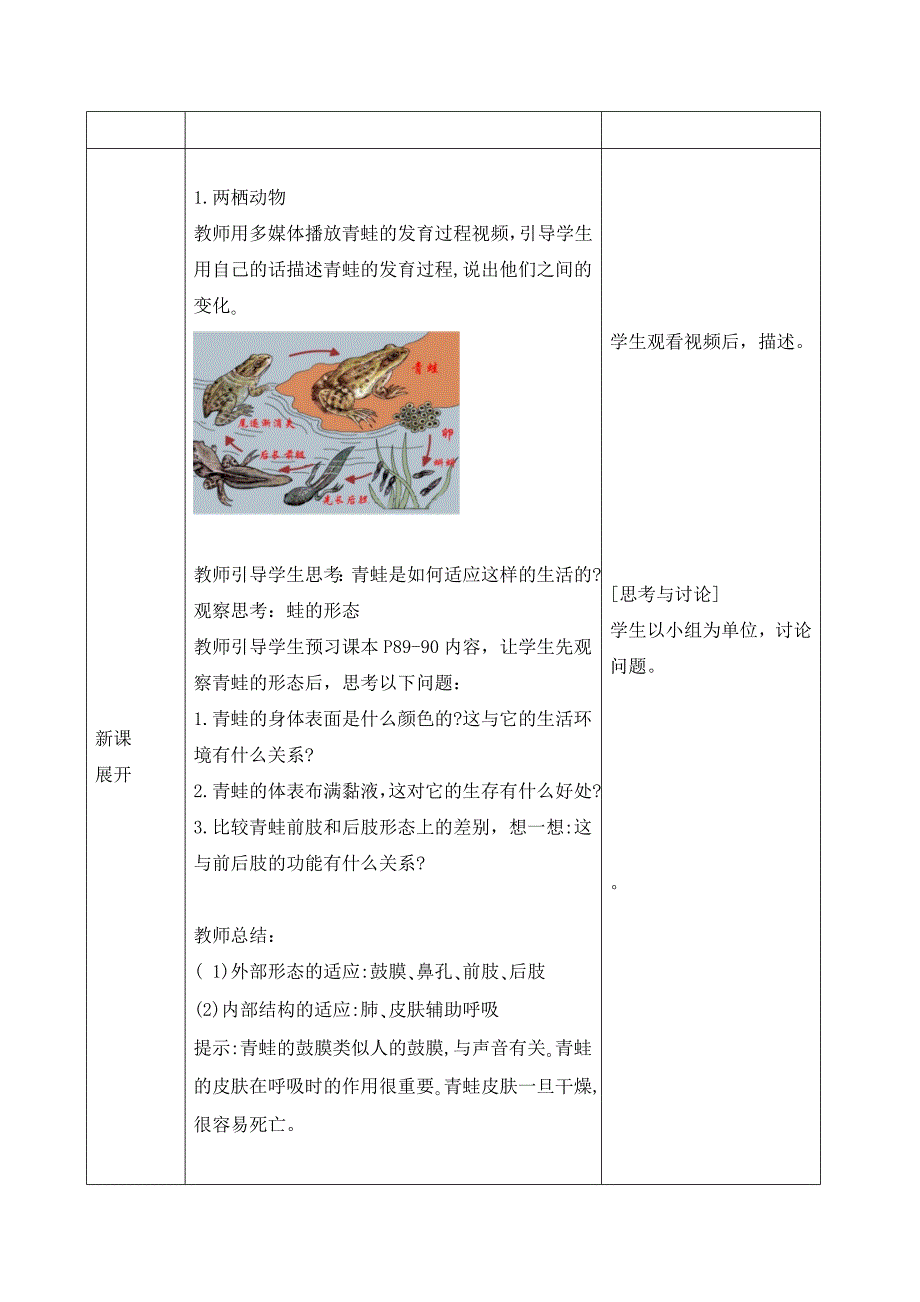 人教版（2024新板）七年级生物上册第二单元第二章第二节《二 两栖动物和爬行动物》教案_第2页