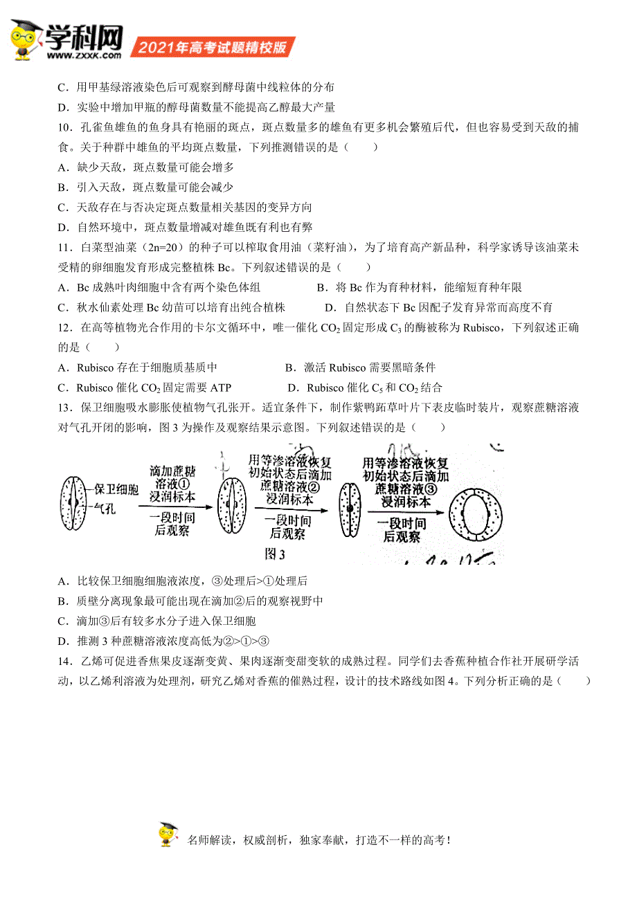 广东省普通高中学业水平选择性考试 生物学_第3页