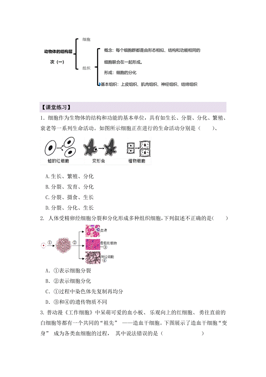 人教版（2024新板）七年级生物上册第一单元第三章第二节《动物体的结构层次（第一课时）》导学案_第3页