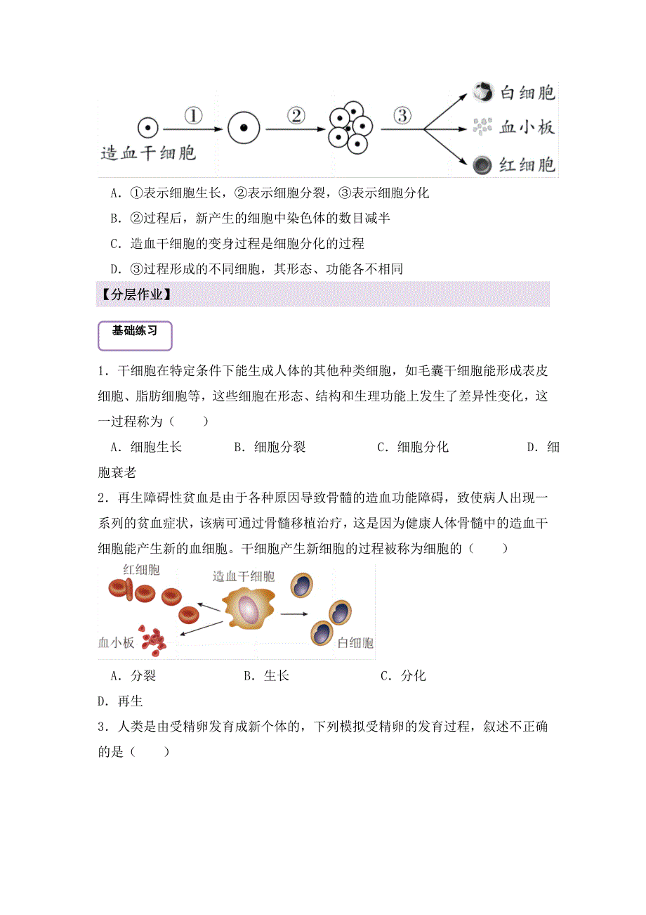 人教版（2024新板）七年级生物上册第一单元第三章第二节《动物体的结构层次（第一课时）》导学案_第4页