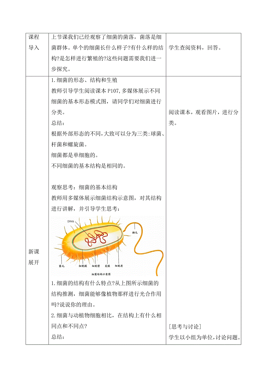 人教版（2024新板）七年级生物上册第二单元第三章第二节《细菌》教案_第2页