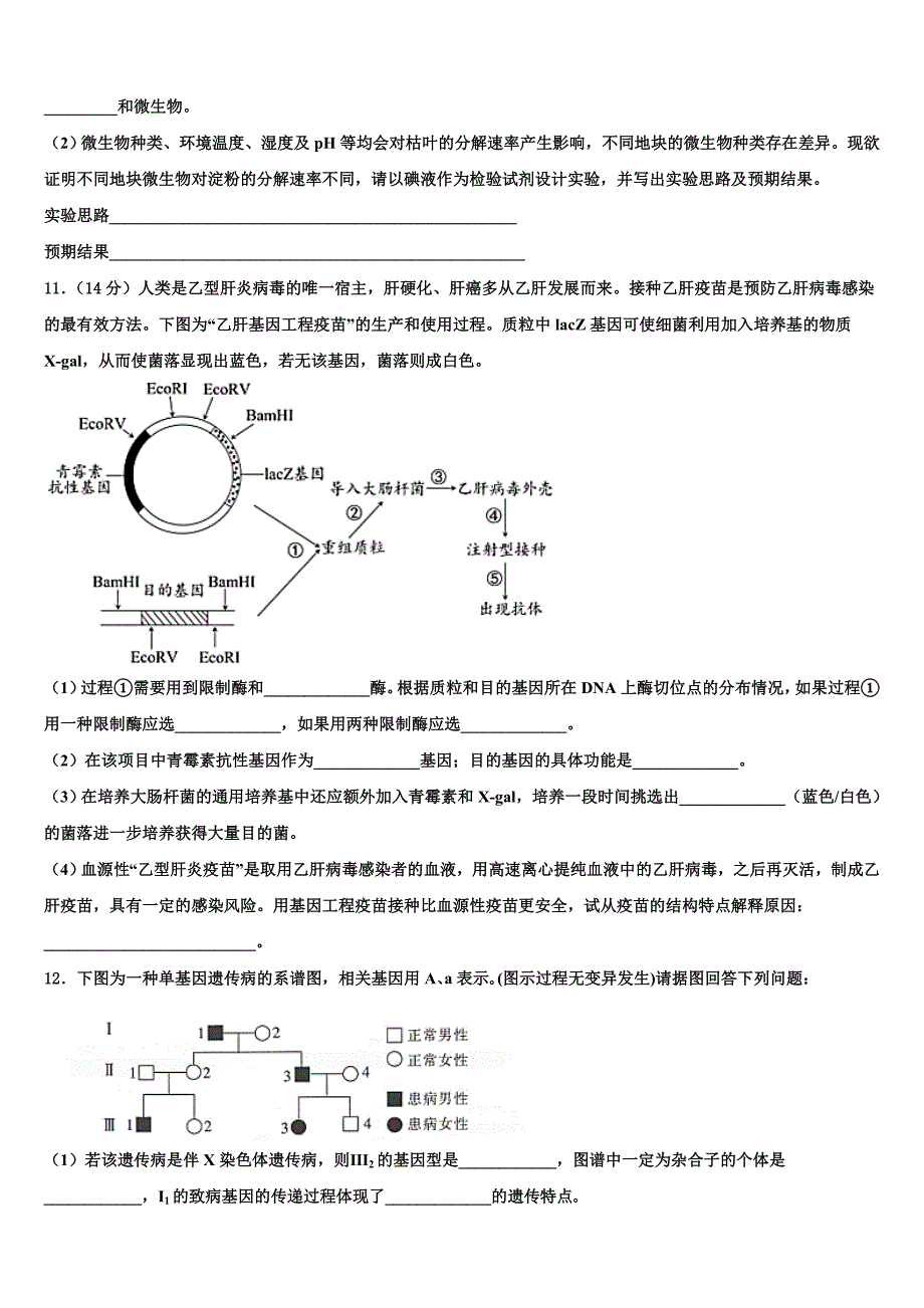 2025学年湖北省鄂东南省级示范高中教育教学改革联盟高三下学期第二次月考试卷生物试题含解析_第4页