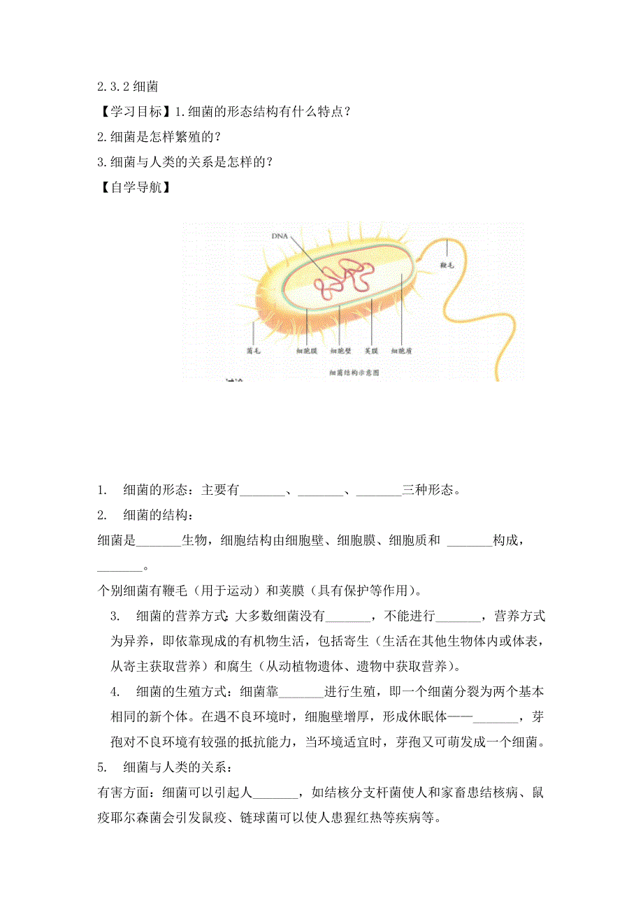 人教版（2024新板）七年级生物上册第二单元第三章第二节《细菌》每课一练_第1页