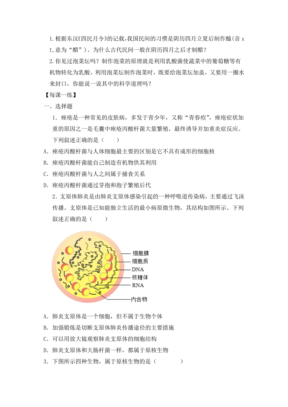 人教版（2024新板）七年级生物上册第二单元第三章第二节《细菌》每课一练_第3页