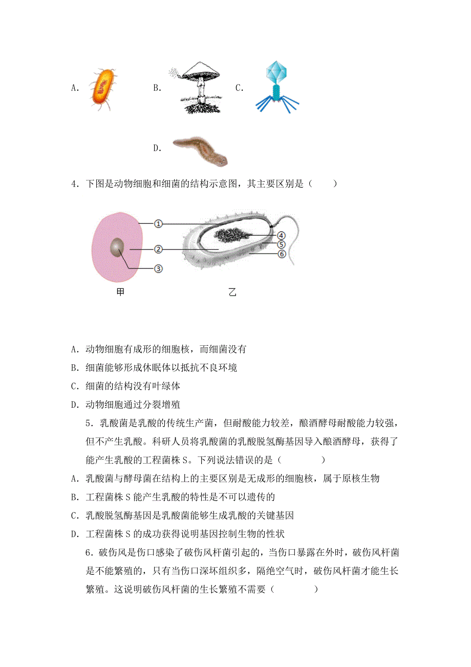 人教版（2024新板）七年级生物上册第二单元第三章第二节《细菌》每课一练_第4页