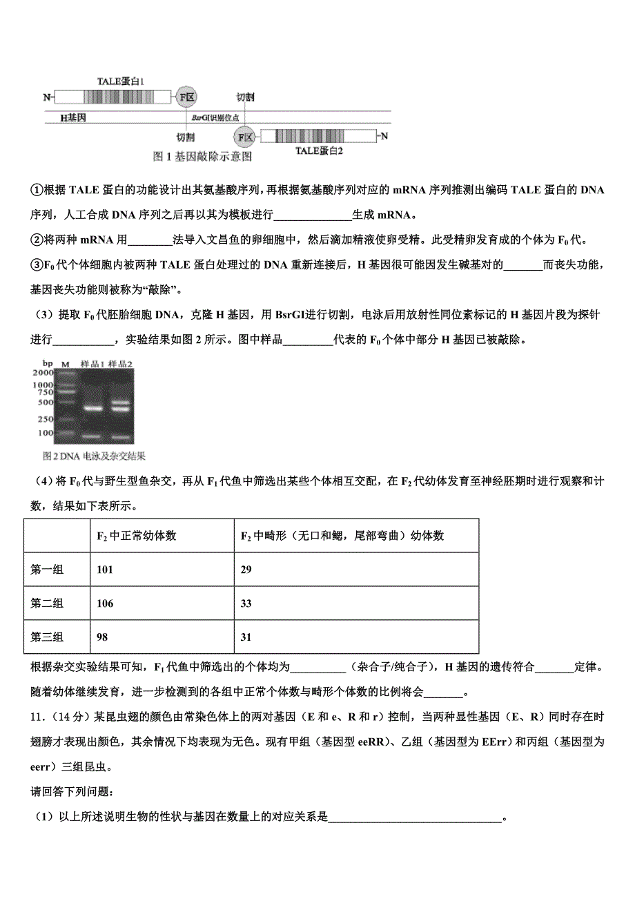 河南省汝阳县实验高中2025年高三2月复习检测试题生物试题含解析_第4页