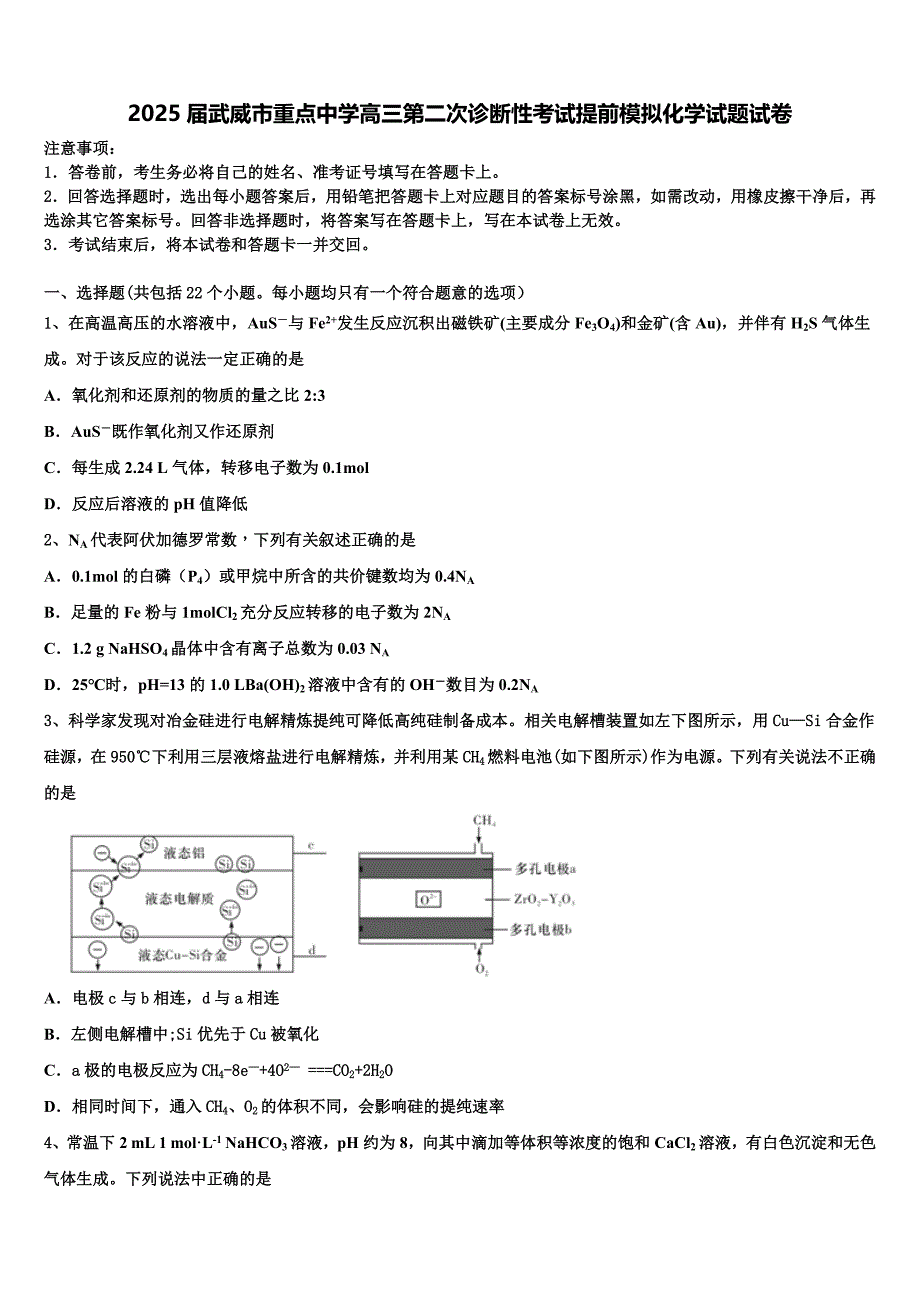 2025届武威市重点中学高三第二次诊断性考试提前模拟化学试题试卷含解析_第1页