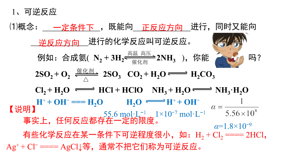 化学人教版（2019）必修第二册6.2.2化学反应限度（共20张ppt）_第2页