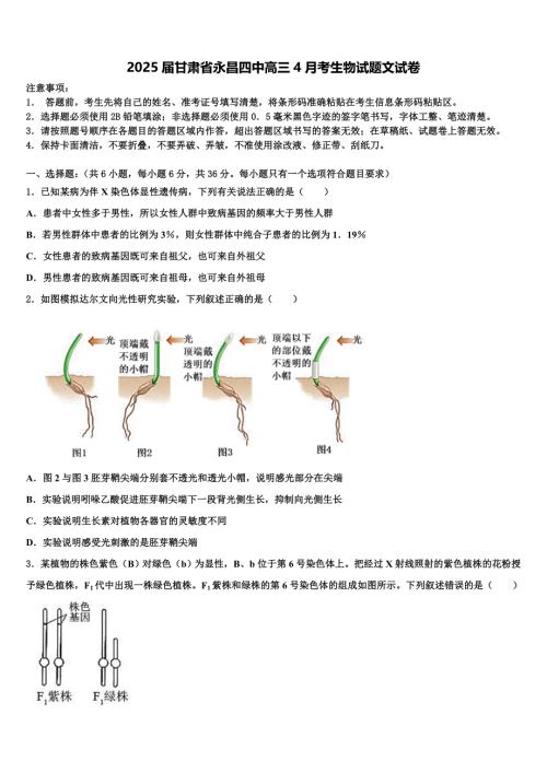 2025届甘肃省永昌四中高三4月考生物试题文试卷含解析