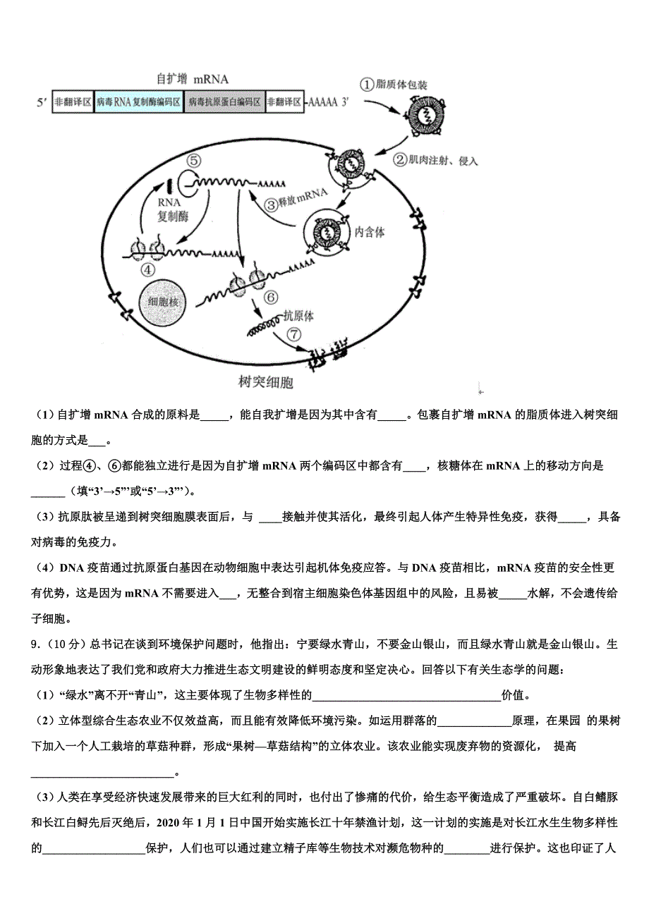 2025届甘肃省永昌四中高三4月考生物试题文试卷含解析_第4页