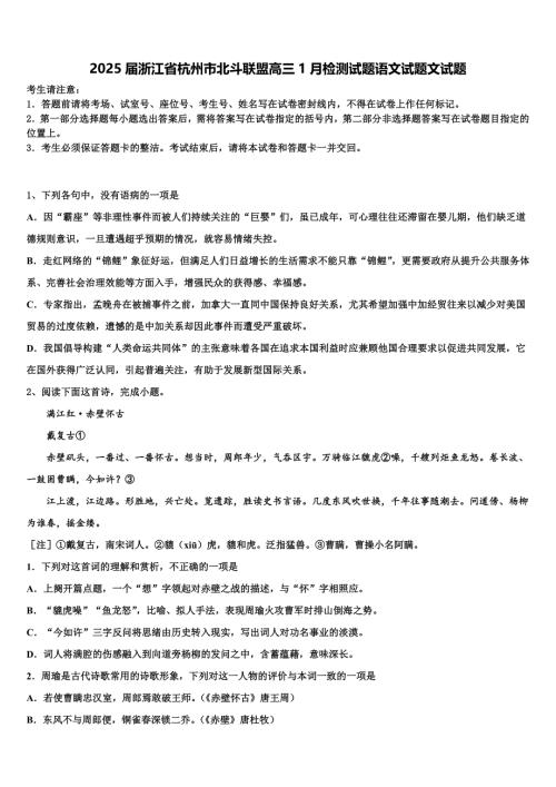 2025届浙江省杭州市北斗联盟高三1月检测试题语文试题文试题含解析