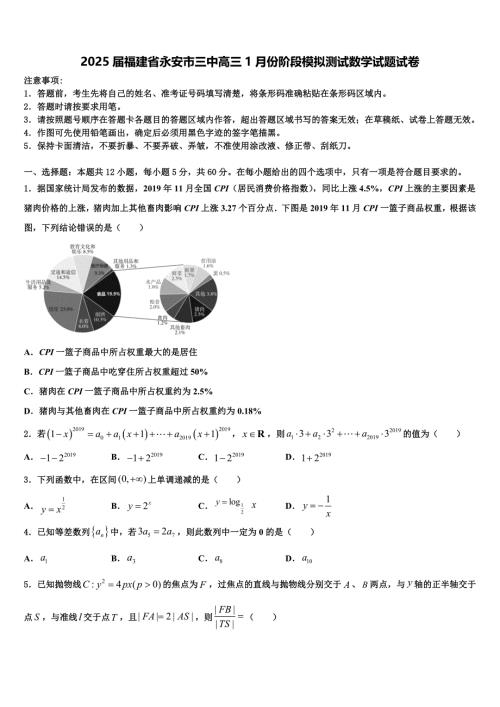 2025届福建省永安市三中高三1月份阶段模拟测试数学试题试卷