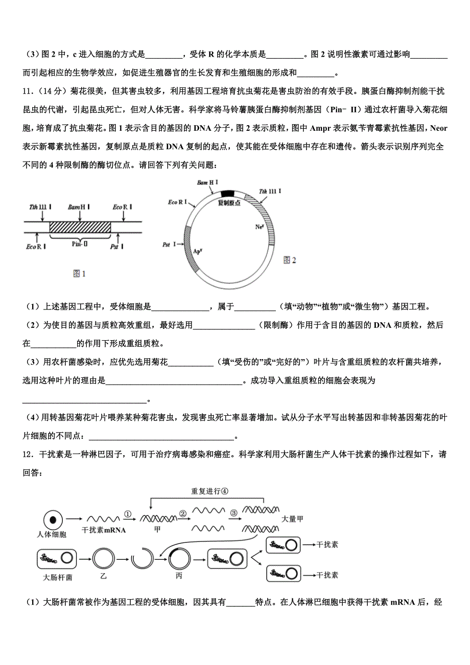 云南省玉溪市峨山一中2025届高三下学期5月月考生物试题文试题含解析_第4页