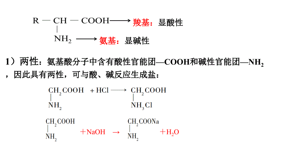 化学人教版（2019）必修第二册7.4.2蛋白质 油脂（共18张ppt）_第4页