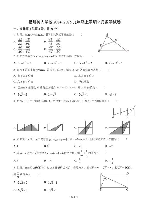 扬州树人学校2024-2025九年级上学期9月月考数学试卷及答案