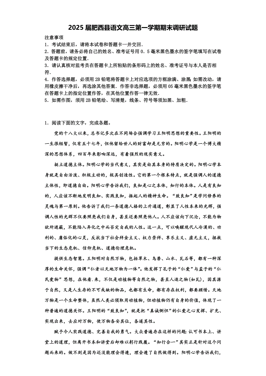 2025届肥西县语文高三第一学期期末调研试题含解析_第1页