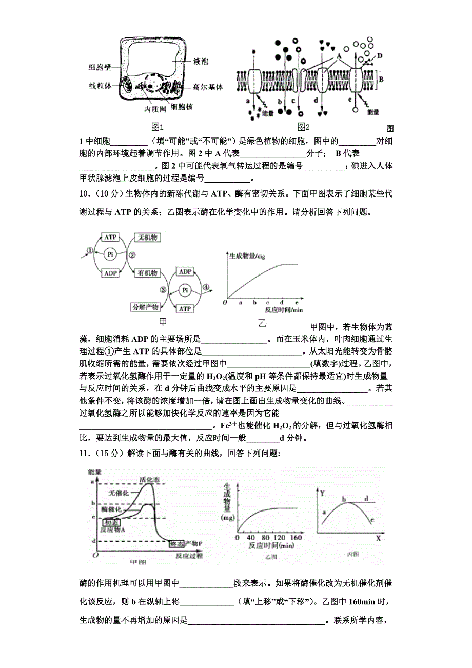 山西省朔州市怀仁第一中学2025学年高一生物第一学期期末复习检测试题含解析_第3页