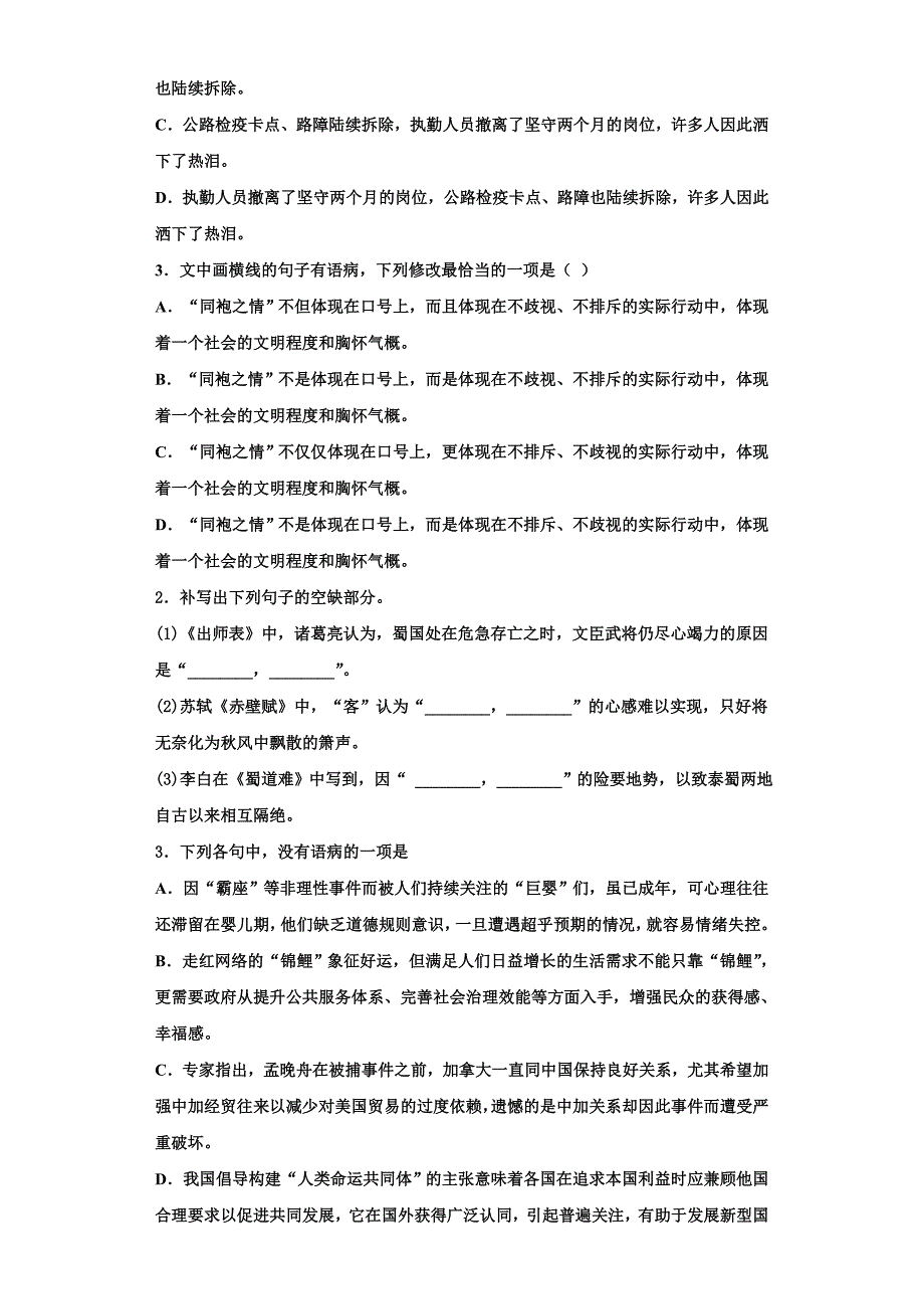 2025年湖北省枣阳市第七中学语文高三第一学期期末质量检测试题含解析_第2页