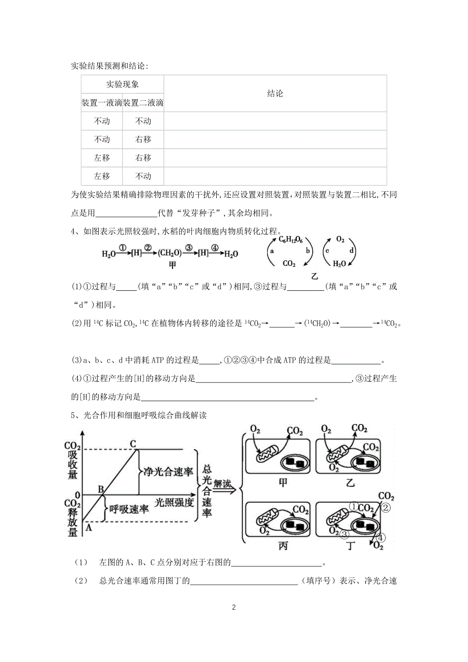 高中资料 呼吸作用与光合作用_第2页