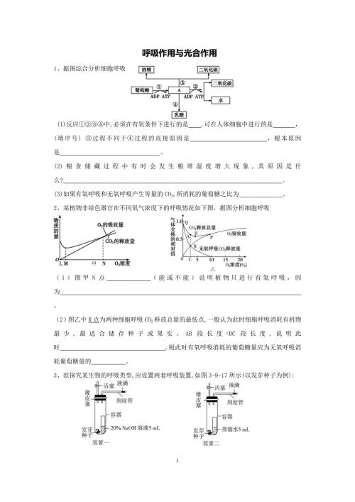 高中資料 呼吸作用與光合作用