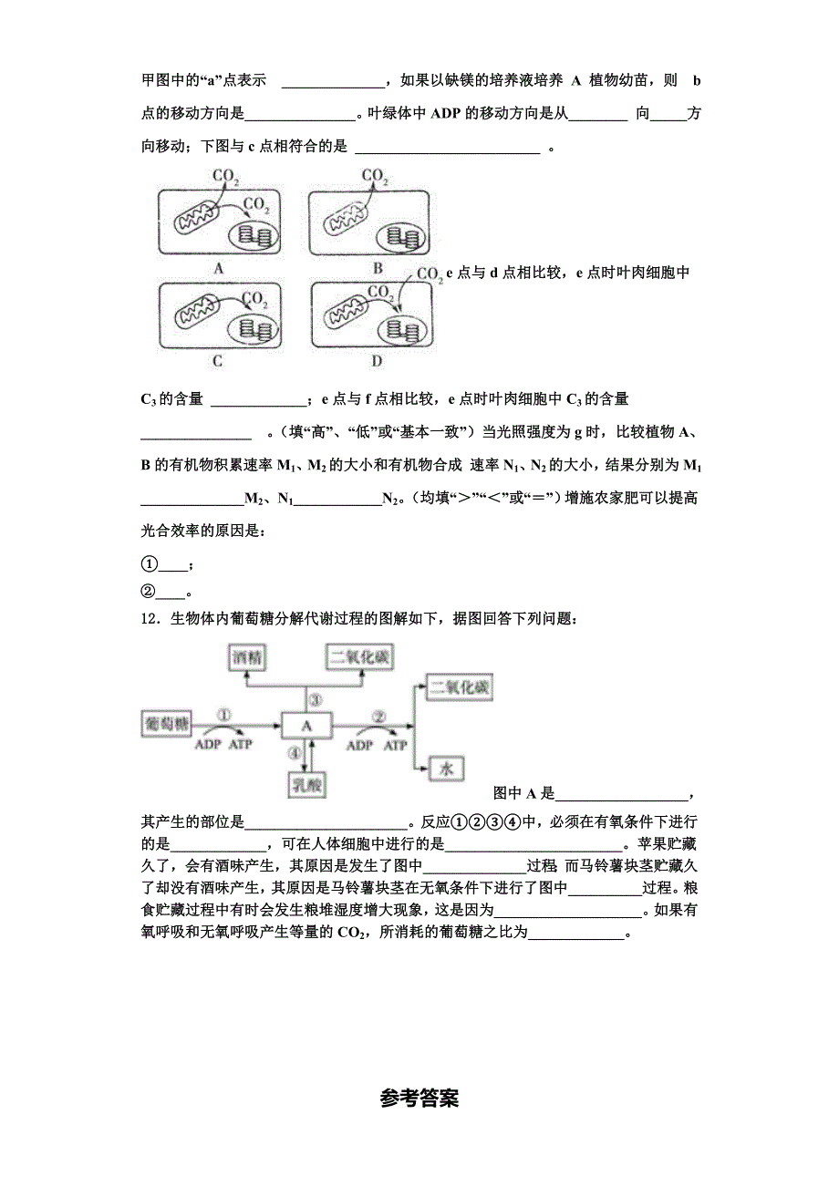 上海市杨浦高中2025年高一生物第一学期期末考试模拟试题含解析_第4页