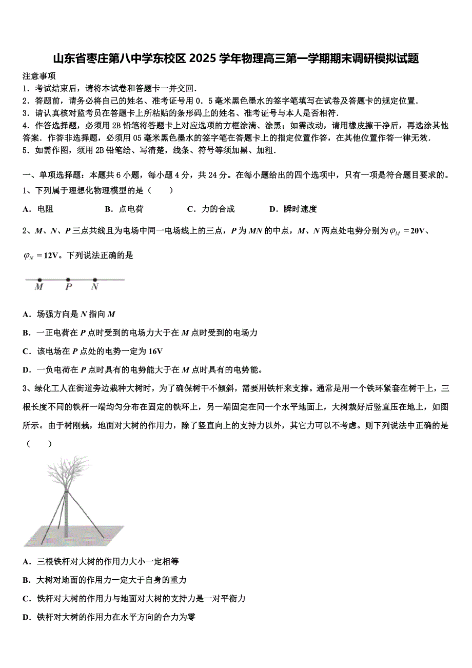 山东省枣庄第八中学东校区2025学年物理高三第一学期期末调研模拟试题含解析_第1页