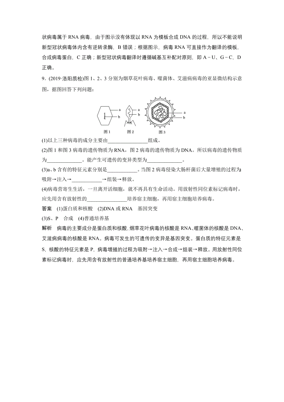 高中资料 重点强化练1　病毒及其代谢特点的分析_第4页