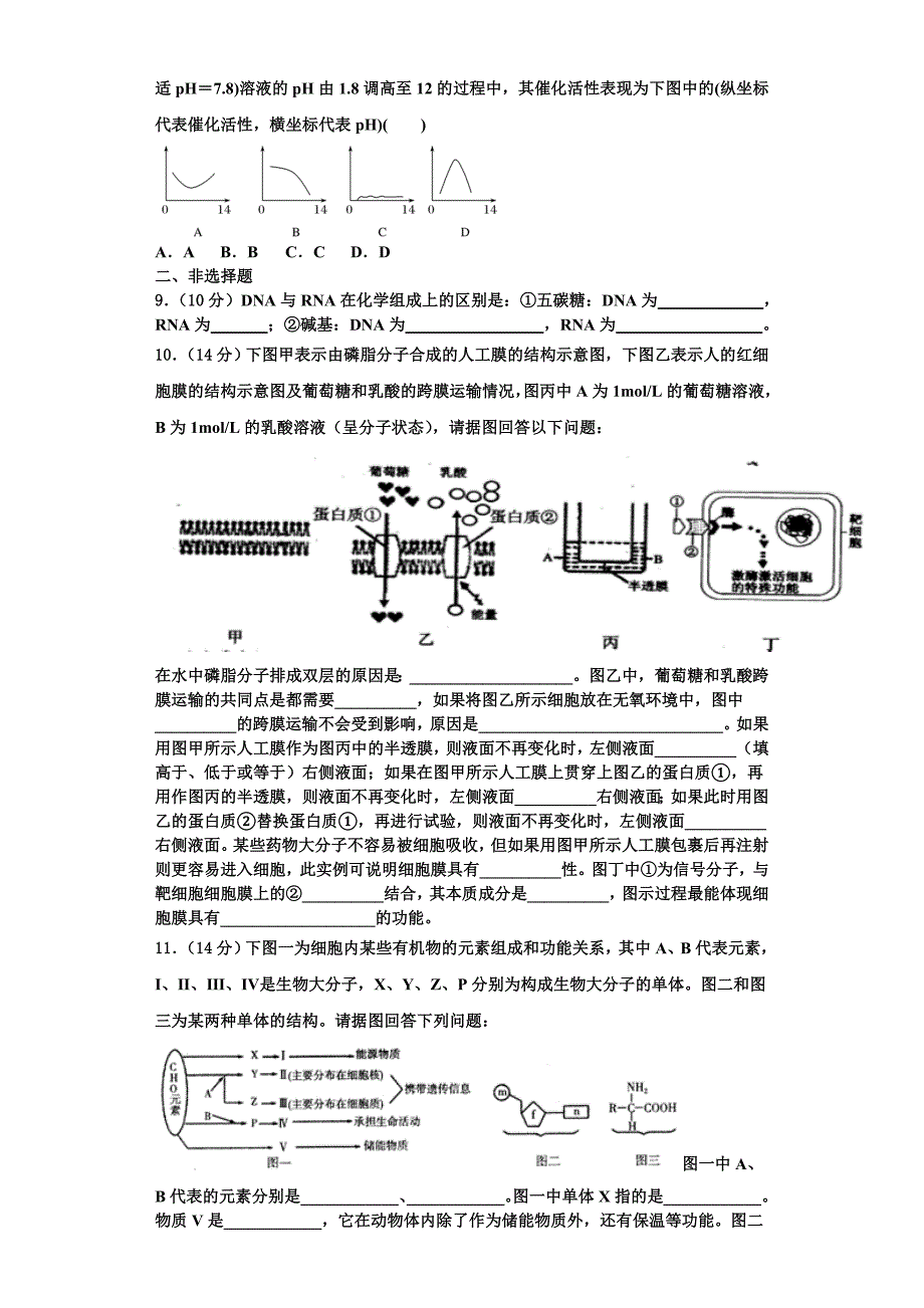 安徽省滁州市西城区中学2025学年高一生物第一学期期末监测模拟试题含解析_第2页