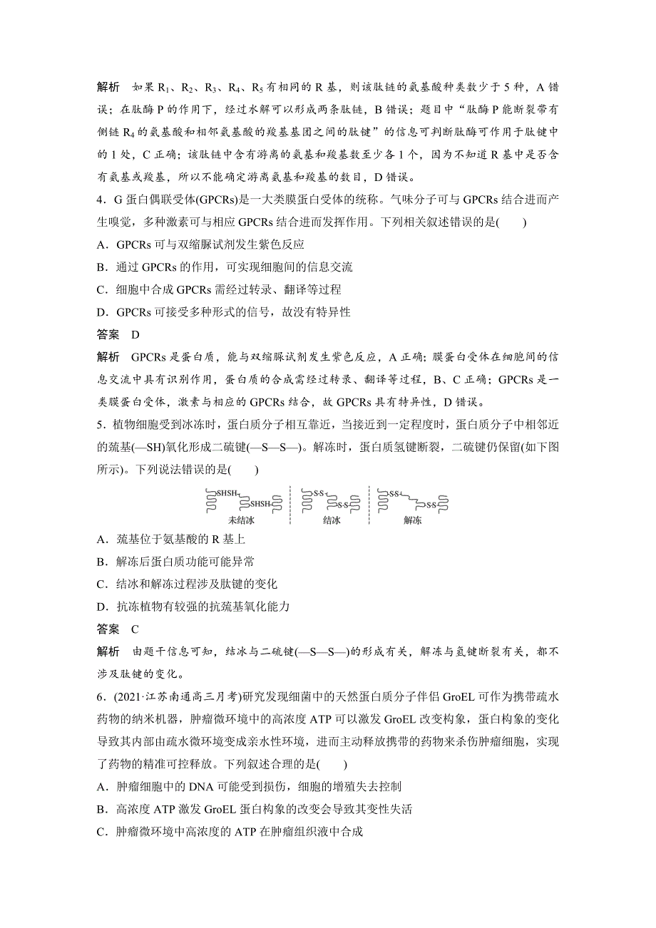 高中资料 透析蛋白质、核酸的结构与功能_第2页