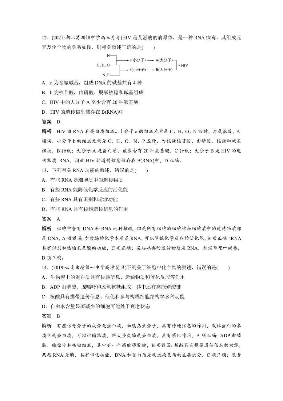 高中资料 透析蛋白质、核酸的结构与功能_第5页