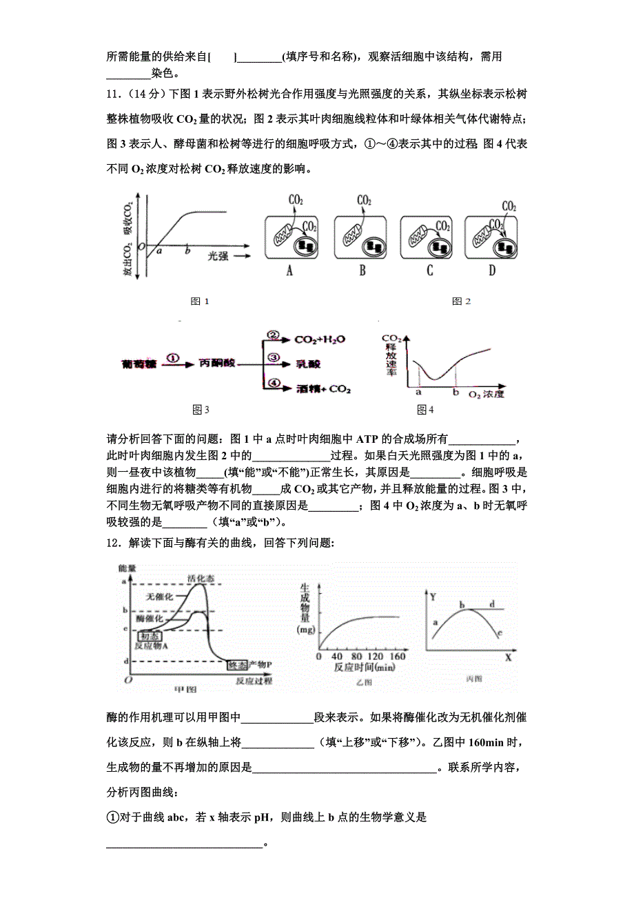 天津市静海区独流中学四校联考2025学年生物高一第一学期期末综合测试模拟试题含解析_第4页