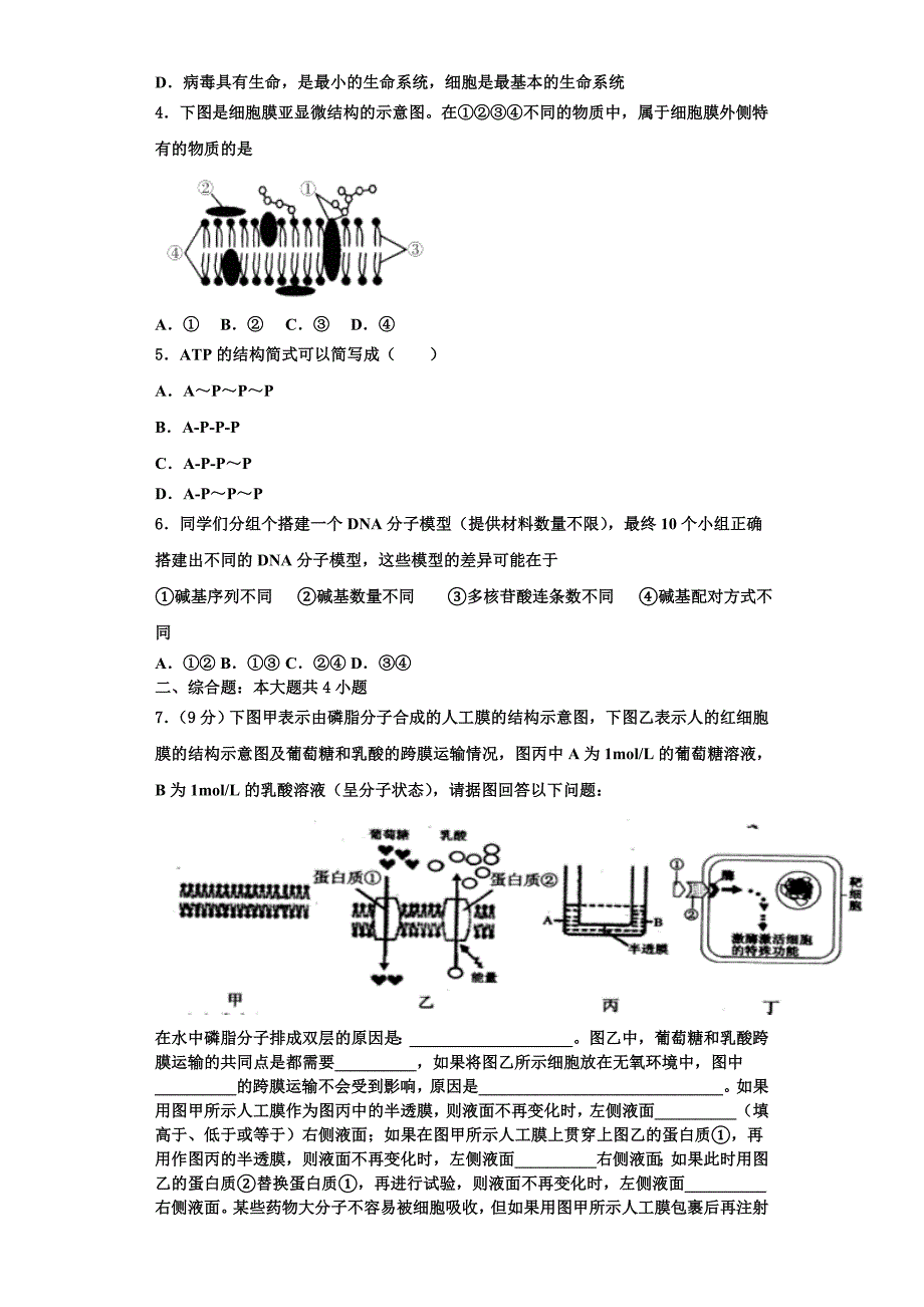 2025年湖北省黄冈、华师大附中等八校生物高一上期末质量跟踪监视模拟试题含解析_第2页