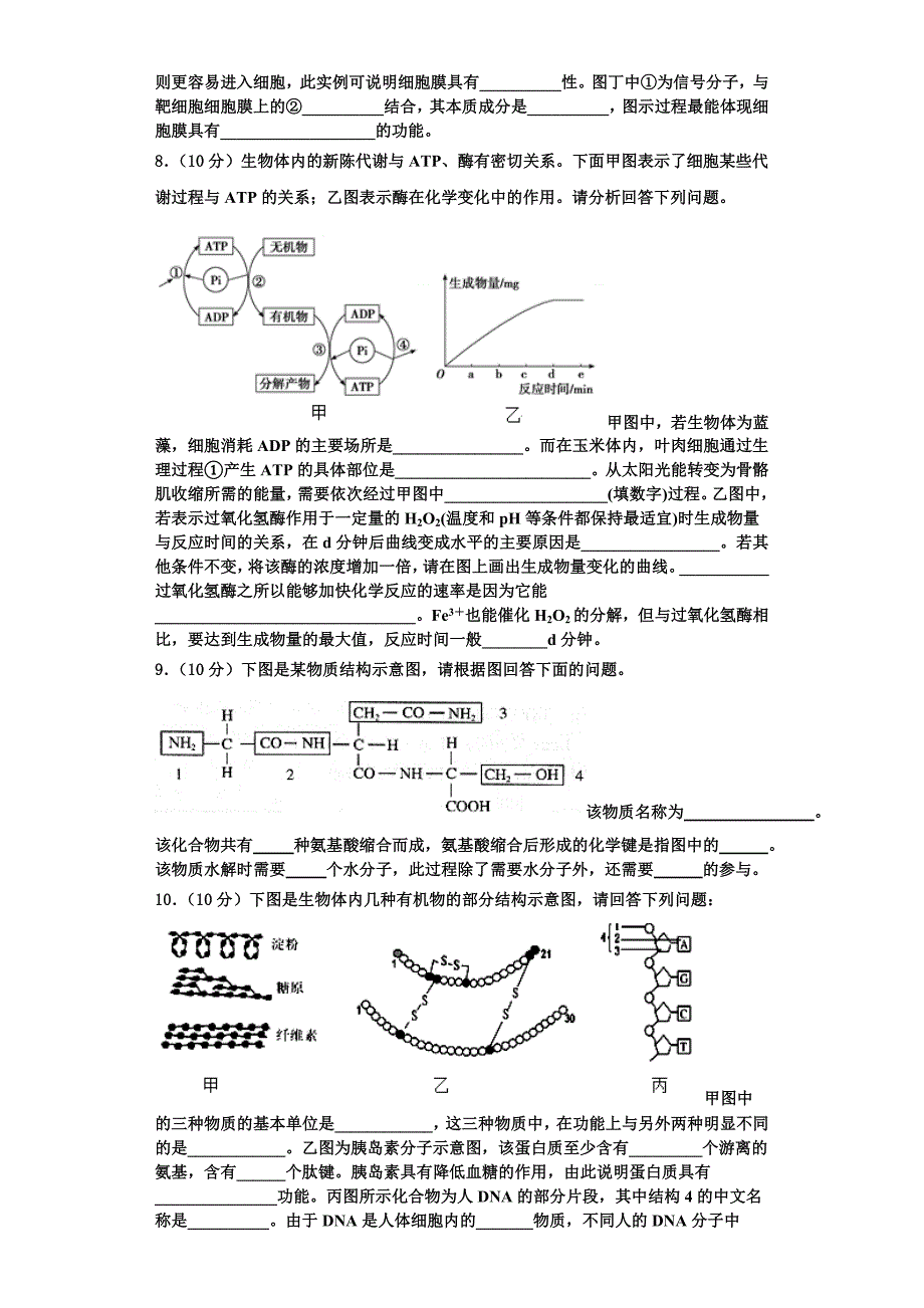 2025年湖北省黄冈、华师大附中等八校生物高一上期末质量跟踪监视模拟试题含解析_第3页