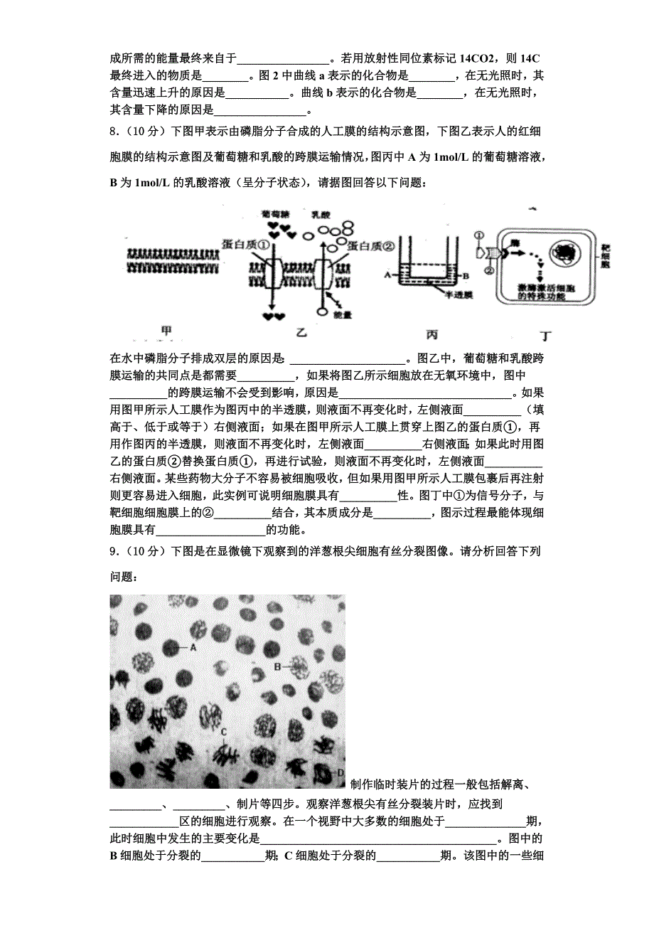 北京市朝阳区市级名校2025学年生物高一第一学期期末综合测试试题含解析_第3页