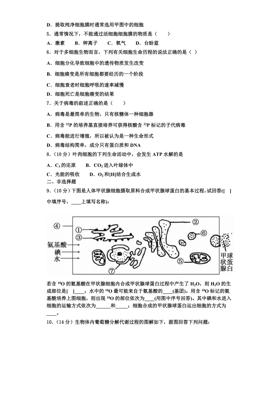 广东第二师范学院番禺附中2025年高一生物第一学期期末质量检测试题含解析_第2页