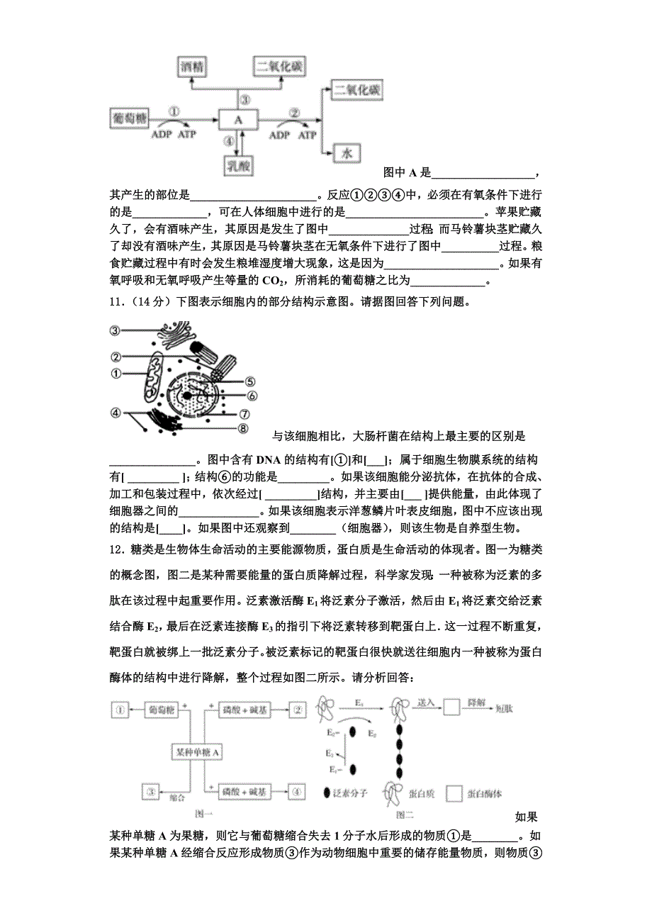 广东第二师范学院番禺附中2025年高一生物第一学期期末质量检测试题含解析_第3页