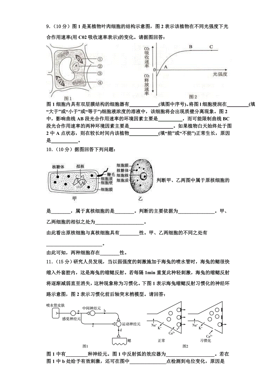 云南省普洱市2025学年生物高一第一学期期末教学质量检测模拟试题含解析_第3页