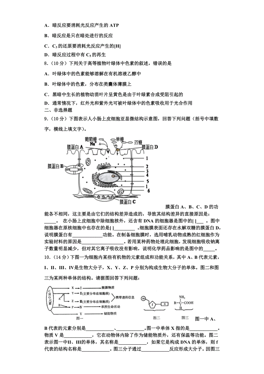 2025年湖南省岳阳市临湘市高一生物第一学期期末教学质量检测模拟试题含解析_第2页