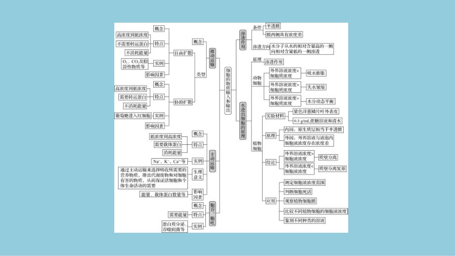 2024生物学必修第一册(配人教版)课件：第4章　章末总结_第3页