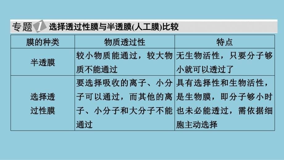 2024生物学必修第一册(配人教版)课件：第4章　章末总结_第5页