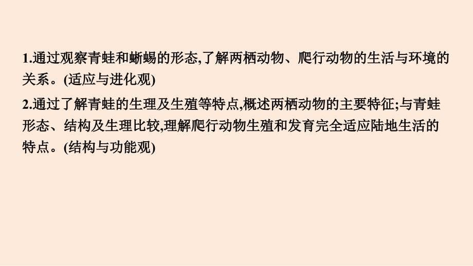 2024学考精练生物七年级上册（配人教版）PPT课件：第二单元 第二章 第二节 脊椎动物 两栖动物和爬行动物_第5页