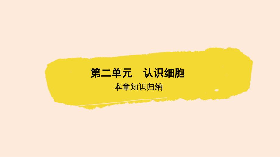 2024学考精练生物七年级上册（配人教版）PPT课件：第一单元 第二章 知识归纳_第2页