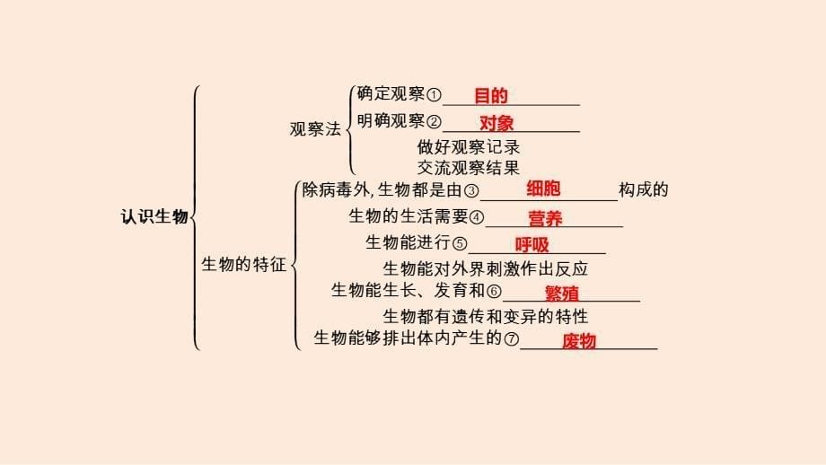 2024学考精练生物七年级上册（配人教版）PPT课件：第一单元 第一章 知识归纳_第5页