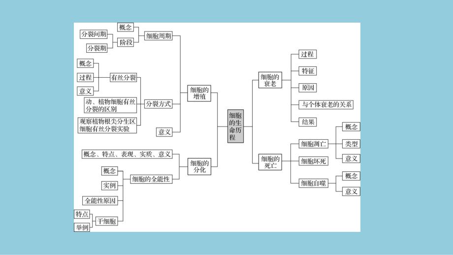 2024生物学必修第一册(配人教版)课件：第6章　章末总结_第3页