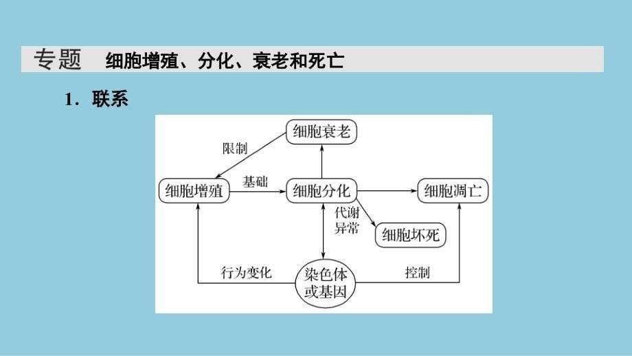 2024生物学必修第一册(配人教版)课件：第6章　章末总结_第5页